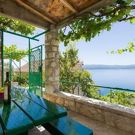 Vineyard -