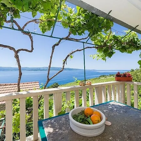 Vineyard - * Murvica (Brac)