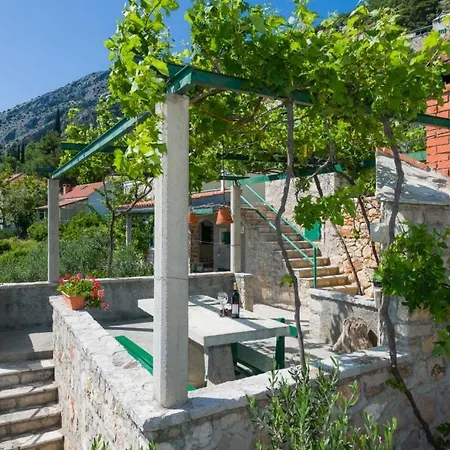 Vineyard - *