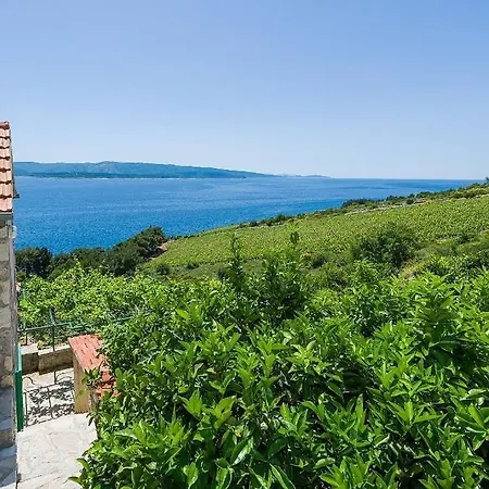 Apartamento Vineyard - Murvica (Brac)