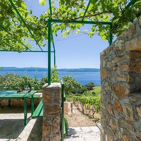 Vineyard - 度假居