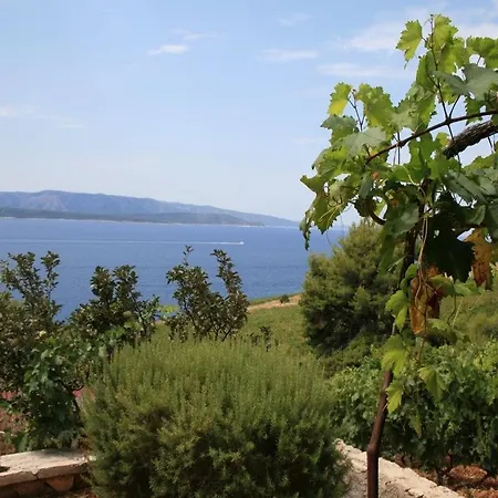 度假居 Vineyard -