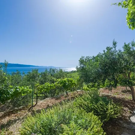 度假居 Vineyard -