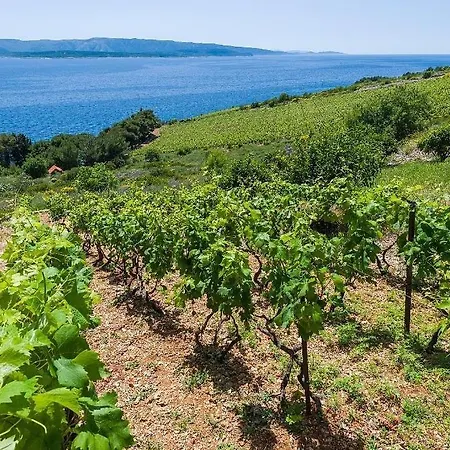 Ferienhaus Vineyard - Murvica (Brac)